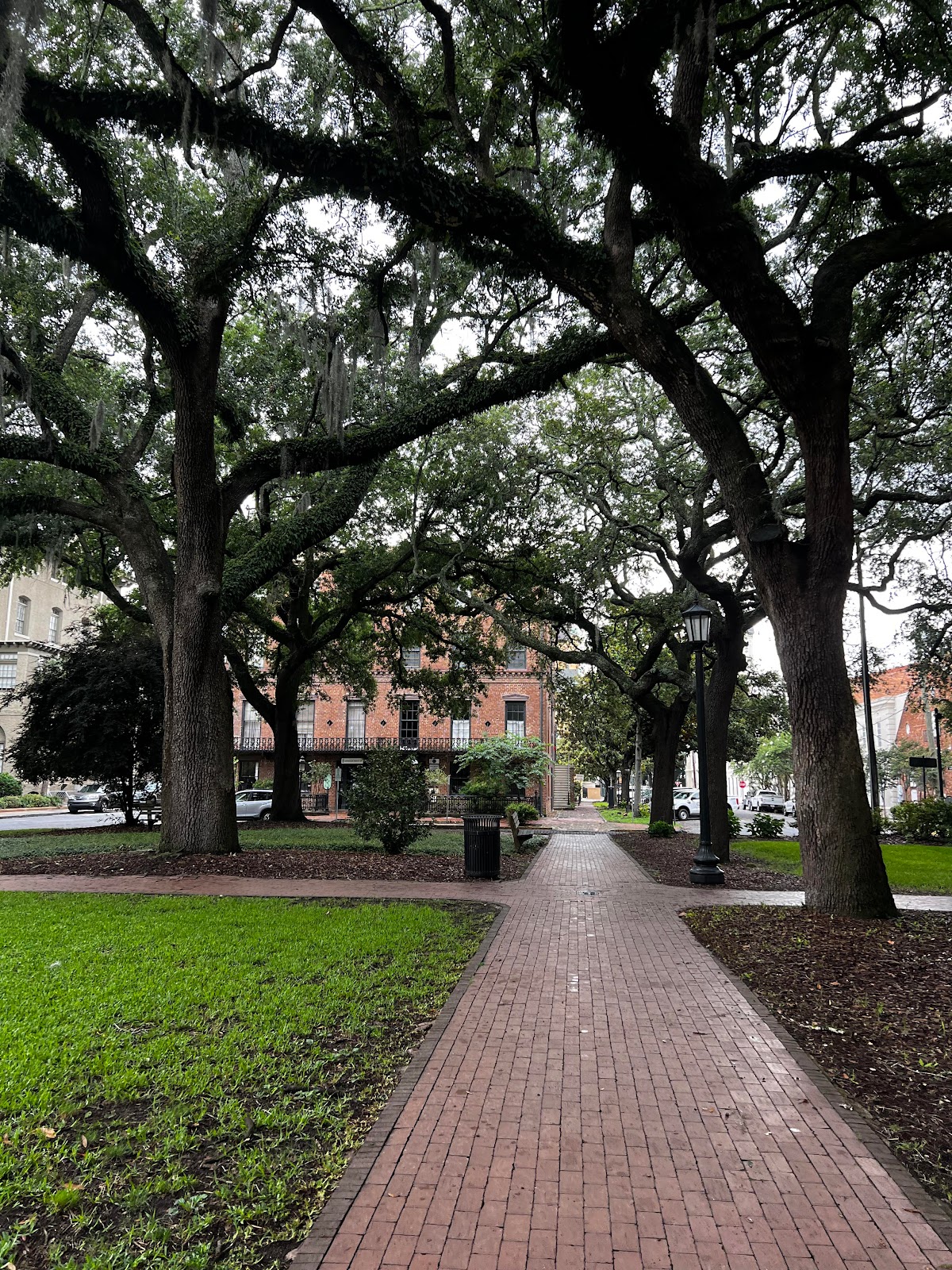 Rising Strength Therapy - Photo 4