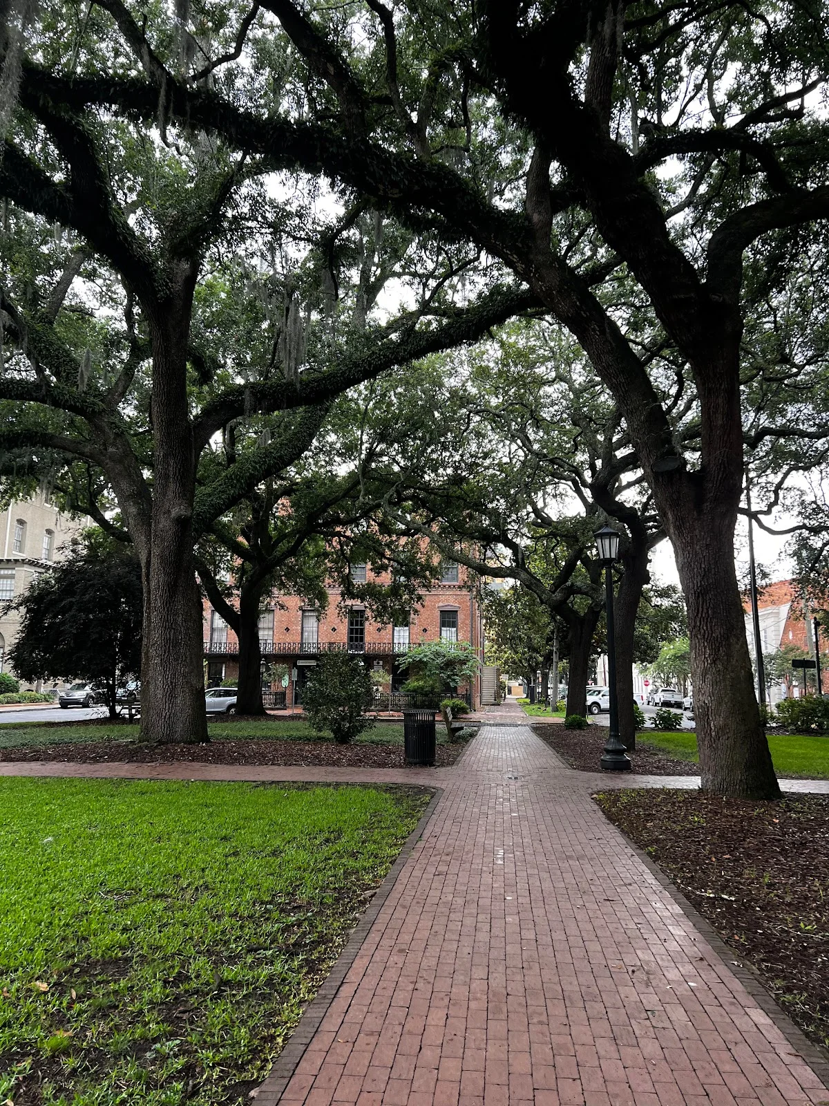 Rising Strength Therapy - Photo 2