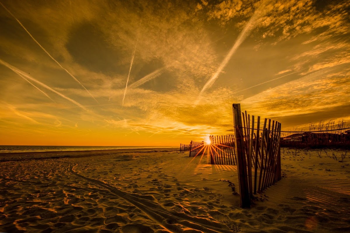 BriteLife Recovery South Carolina - Photo 6