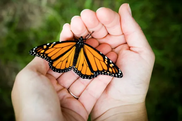 HOPE Recovery Resources - Photo 1