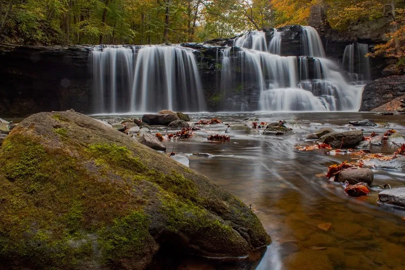 Black Bear Lodge - Photo 5