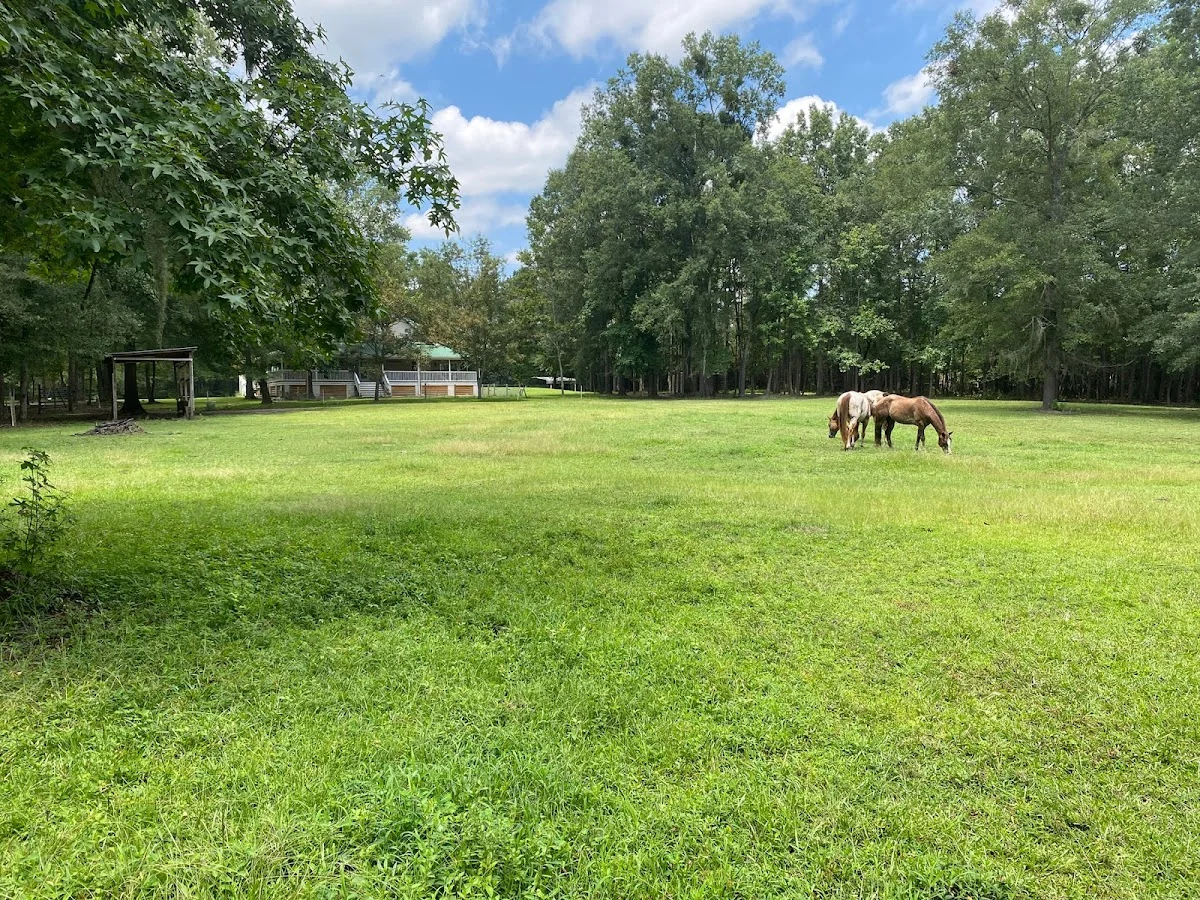 Front Porch Recovery Center - Photo 4